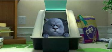 3d猫动画片国产在线观看,在线观看,萌动你的心