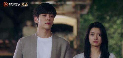 国产甜剧解说全集在线,甜蜜瞬间,笑点连连,重温甜蜜回忆