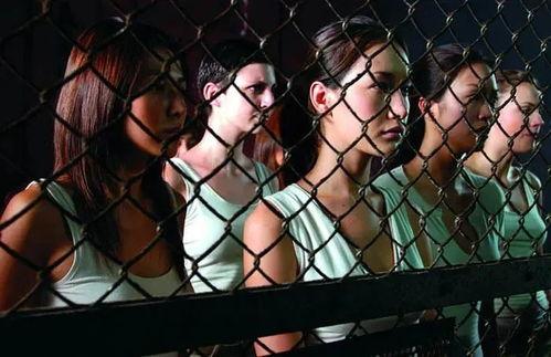 盘点国产女杀手在线观看,在线揭秘神秘杀手世界