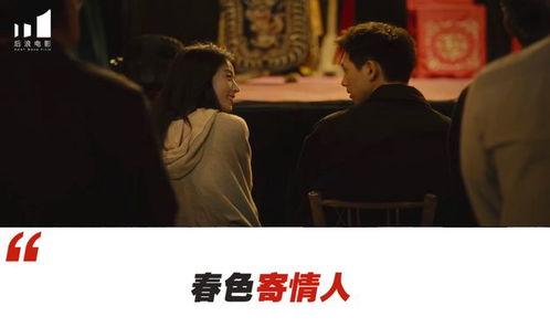 国产情感剧在线观看,在线观看,共赴心灵之旅