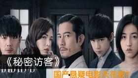 国产影视解说完整版在线观看,完整版在线观看，尽享视听盛宴